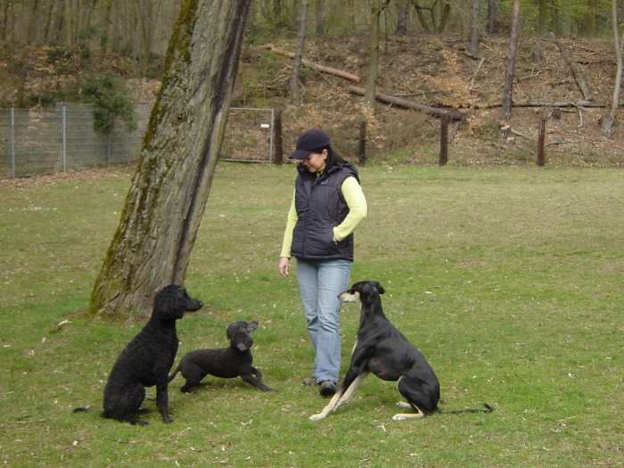 Gaby, Hanka, Evi, Mitraa